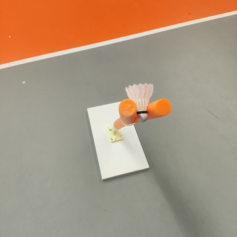Children Badminton Pick Serve  - Sports Equipment For Badminton 评论和价格