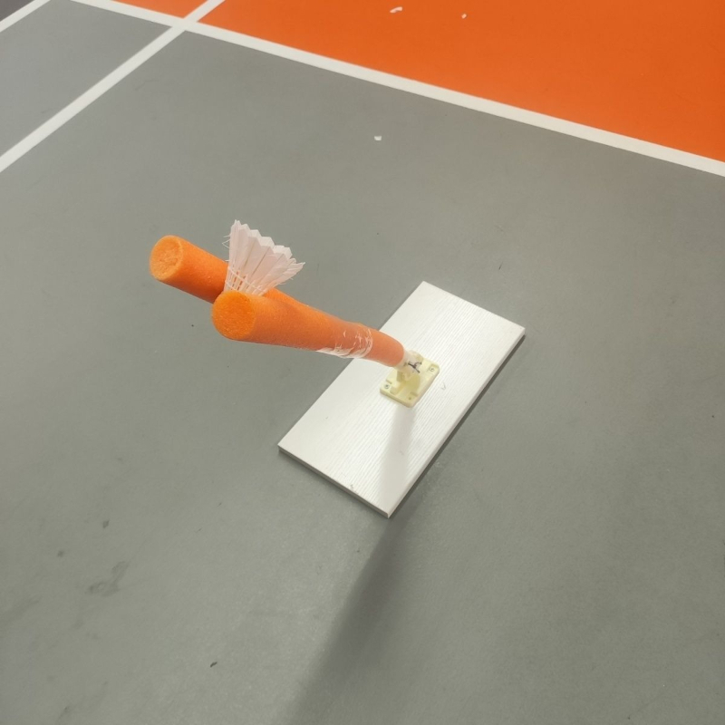 Children Badminton Pick Serve  - Sports Equipment For Badminton 评论和价格