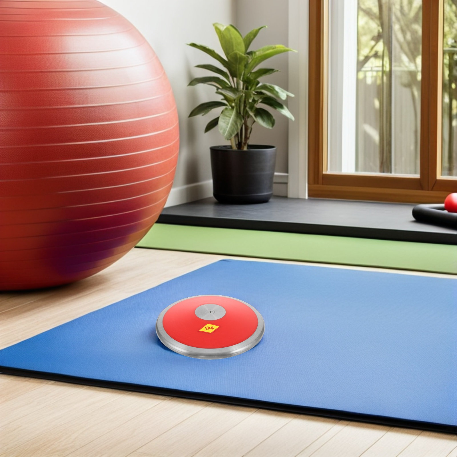 Practice Discus 1Kg Nylon Soli - Sports Equipment For Training 评论和价格